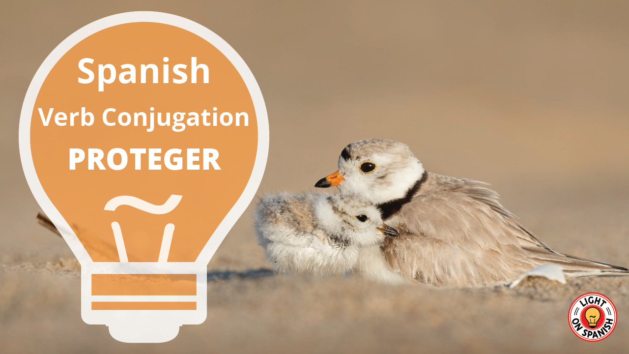 learn-the-conjugation-of-spanish-verb-proteger-fast