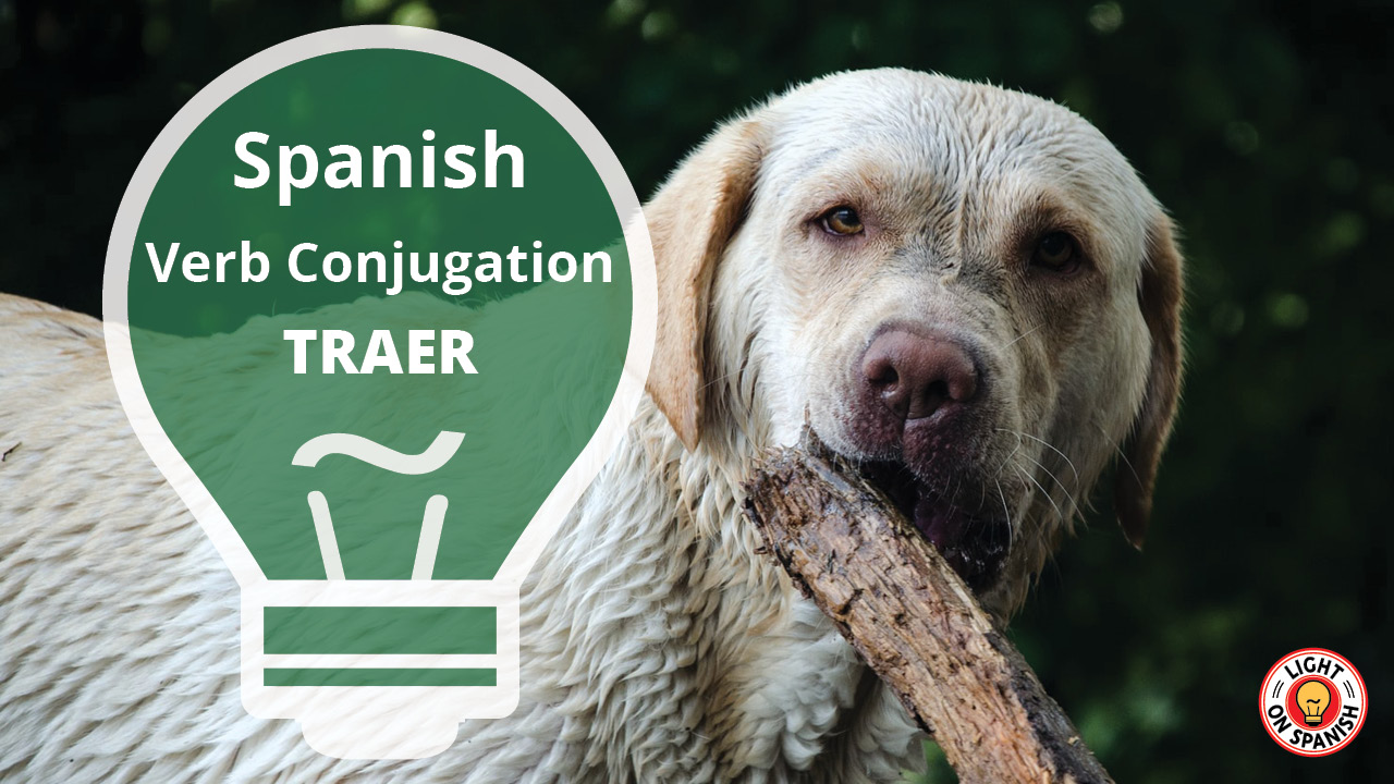 learn-the-conjugation-of-spanish-verb-traer-light-on-spanish